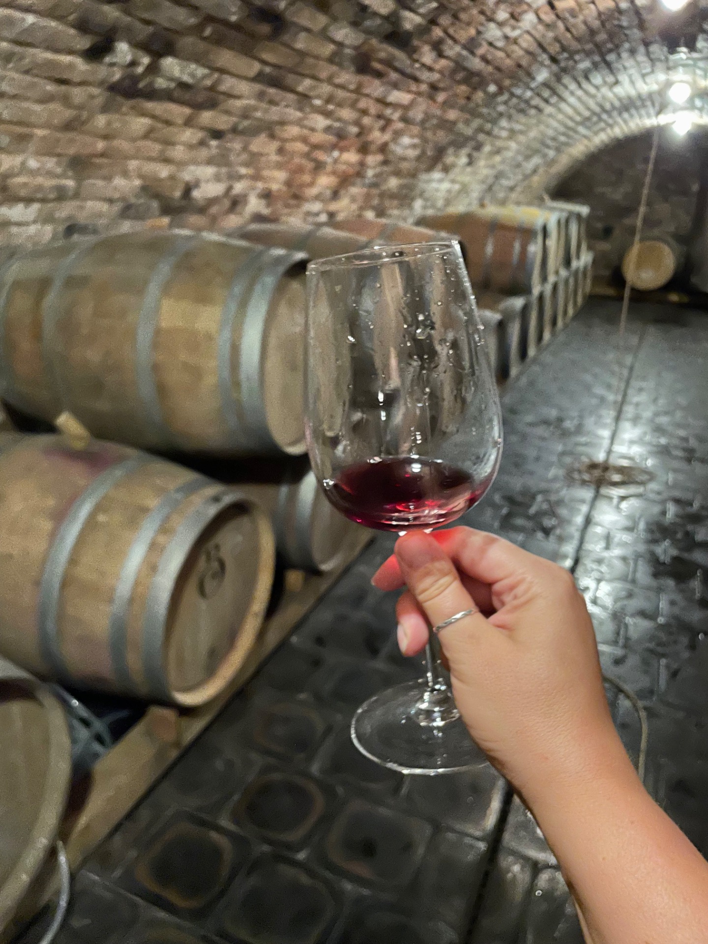 červené vino sklep fermentace